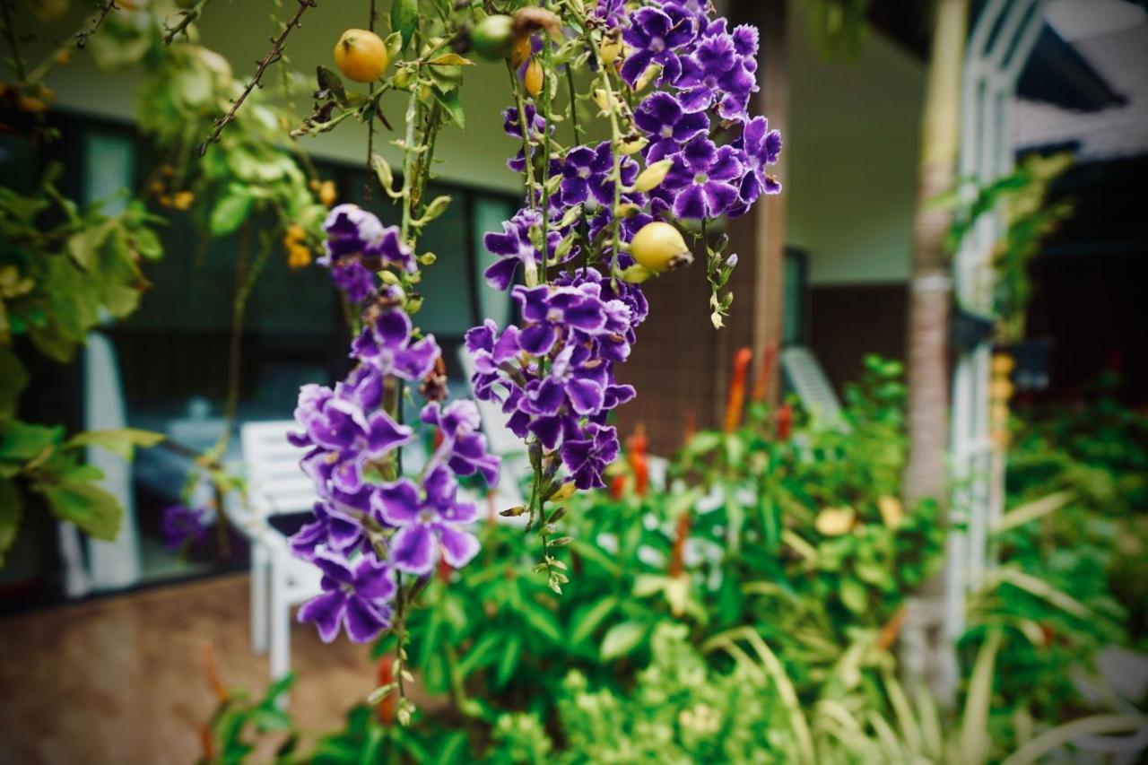 Canary Bungalow Phu Quoc Exteriör bild
