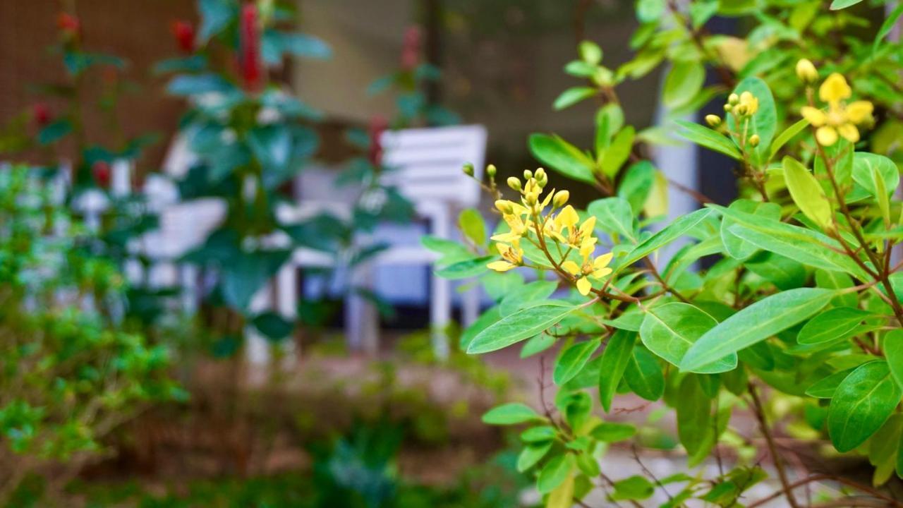 Canary Bungalow Phu Quoc Exteriör bild